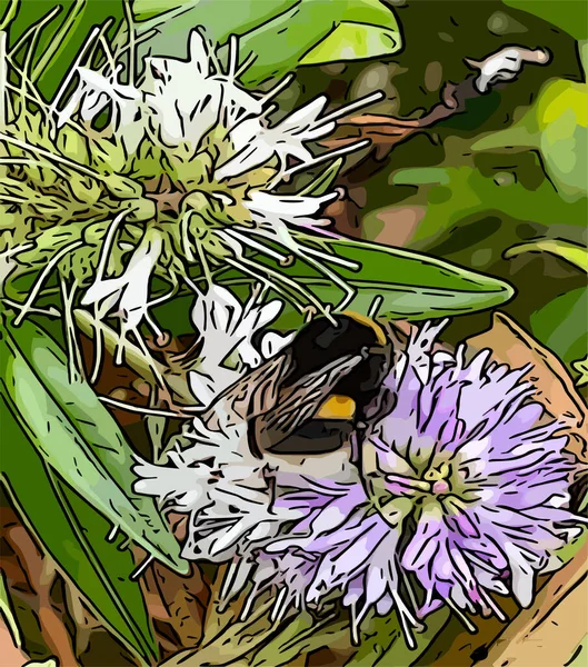 Bumble Včela Singl Květinové Kreslené Obrysy — Stockový vektor