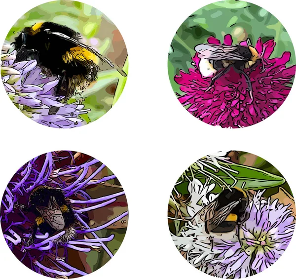 Çiçek çizgi filminde yaban arısı single 'ı, dört yaban arısı seti