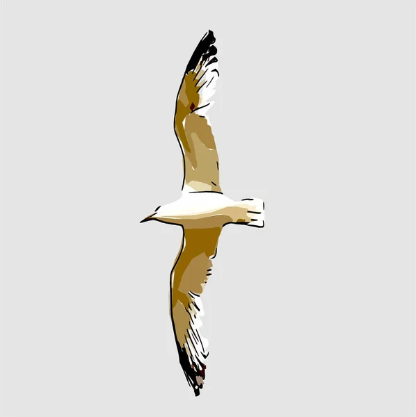 海鸥在天空中独自飞翔 — 图库矢量图片