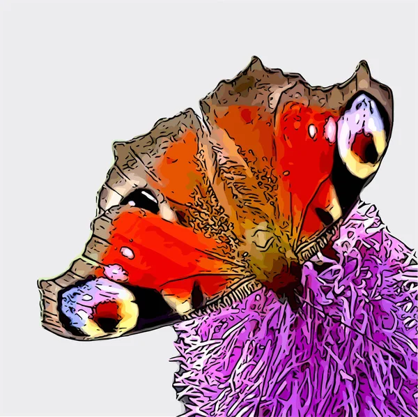 Tavuskuşu kelebeği çiçeğin üzerinde tek başına 