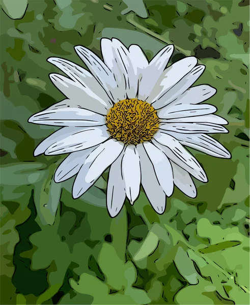 White Daisy Single Green - Stok Vektor