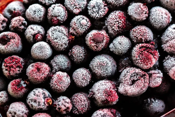 Gefrorene Beeren mit weißem Frost — Stockfoto