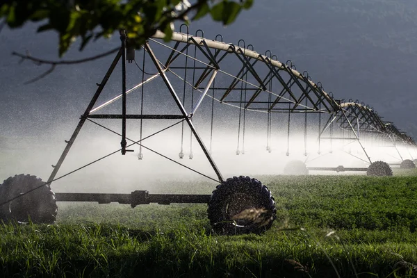 自动化农业灌溉喷头系统的操作 图库图片