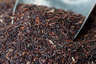 Pirinç-berry Tayland