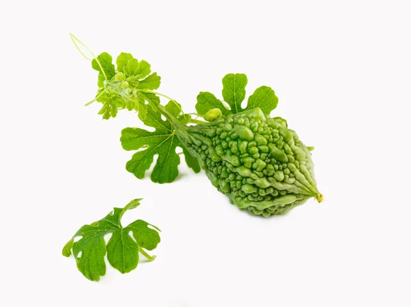 Bitter melon on white background — Stock Photo, Image