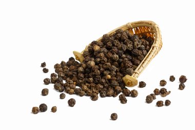 Beyaz arkaplanda Kara Biber