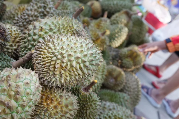 stock image Group of durian