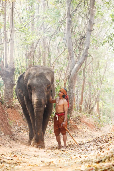 Relación un hombre, Mahout de elefante. Crianza con amor — Foto de Stock
