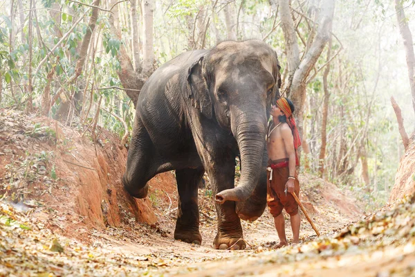 Relación un hombre, Mahout de elefante. Crianza con amor — Foto de Stock