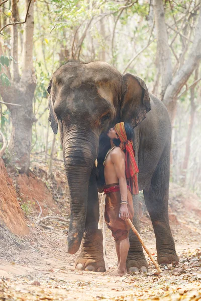 Relación un hombre, Mahout de elefante. Crianza con amor — Foto de Stock