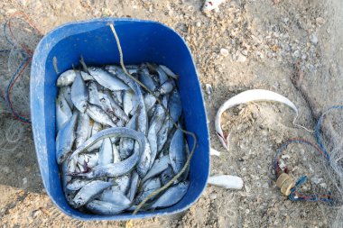 deniz ile ilgili balıkçı