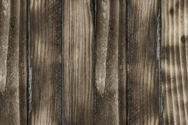 Fond en bois de pin — Photo