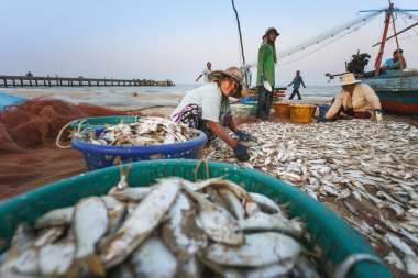 Kıyı Balık tutma Nakhon Si Thammarat eyaletinin Tayland