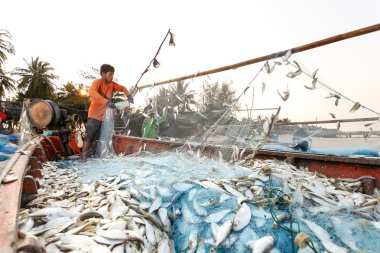 Kıyı Balık tutma Nakhon Si Thammarat eyaletinin Tayland
