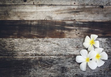 Plumeria ile ahşap arka plan