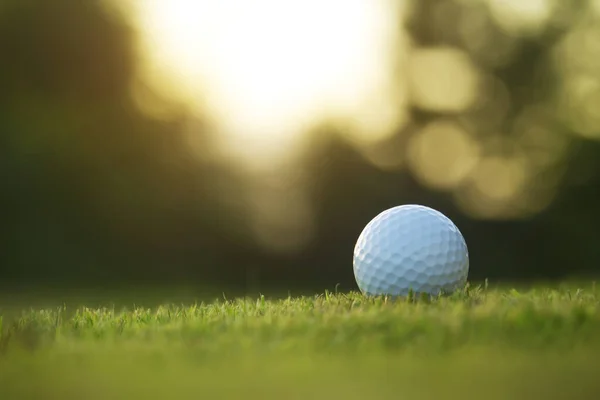 Bola Golfe Está Gramado Verde Belo Campo Golfe Com Sol — Fotografia de Stock