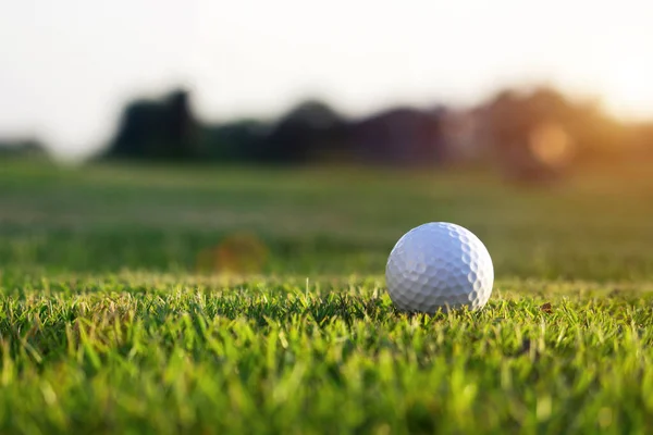 高尔夫球在一个阳光明媚的高尔夫球场的绿地上 有一个阳光明媚的高尔夫球场 准备在第一时间打高尔夫球 — 图库照片