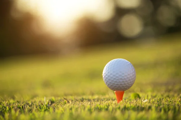 Golfboll Tee Vacker Golfbana Med Morgonsol Redo För Golf Första — Stockfoto