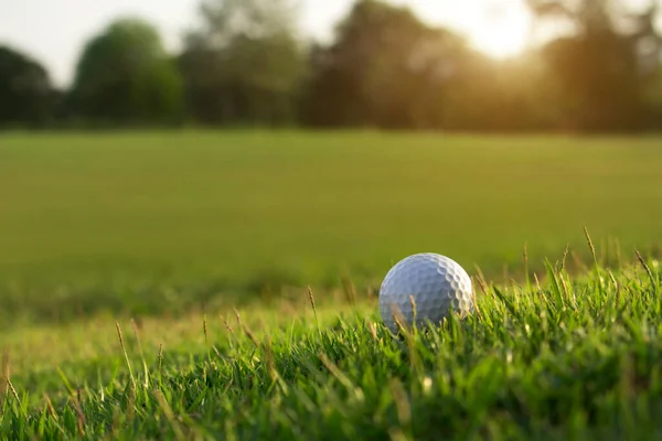 Golf Ball Green Lawn Beautiful Golf Course Morning Sunshine Ready — Stock Photo, Image