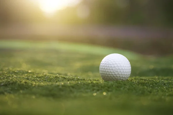 Golf ball is on a green lawn in a beautiful golf course with morning sunshine.Ready for golf in the first short.Sports that people around the world play during the holidays for health.