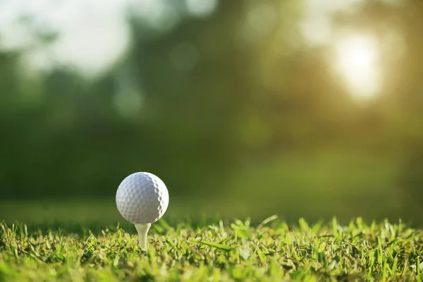 Pelota Golf Tee Hermoso Campo Golf Con Sol Mañana Listo —  Fotos de Stock