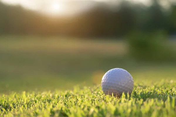 Golf ball is on a green lawn in a beautiful golf course with morning sunshine.Ready for golf in the first short.Sports that people around the world play during the holidays for health.