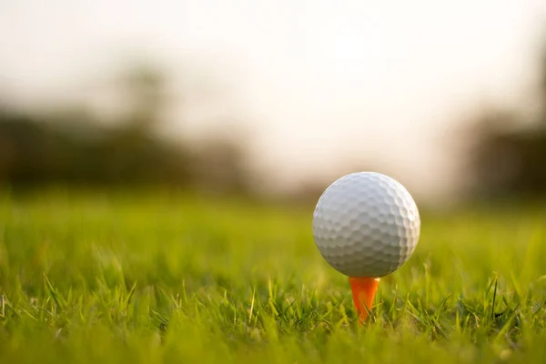 golf ball on tee in a beautiful golf course with morning sunshine.Ready for golf in the first short.Sports that people around the world play during the holidays for health.