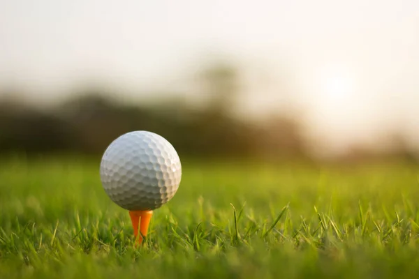 golf ball on tee in a beautiful golf course with morning sunshine.Ready for golf in the first short.Sports that people around the world play during the holidays for health.