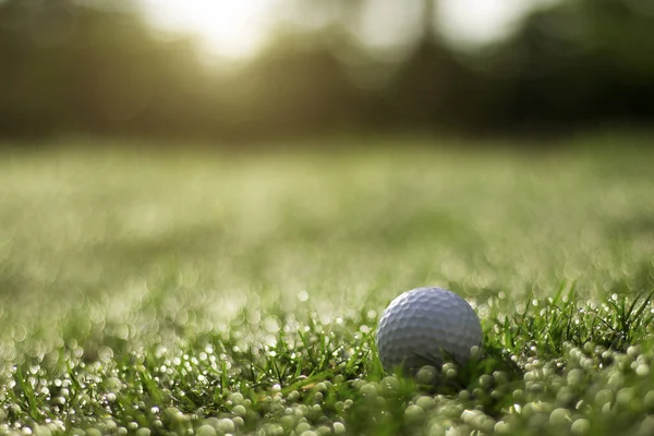 Bola Golfe Está Gramado Verde Belo Campo Golfe Com Sol — Fotografia de Stock