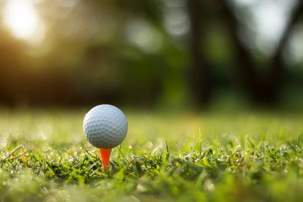 Golf sahasında güzel bir golf sahasında sabah güneşiyle. İlk kısa sürede golfe hazır. Dünyanın dört bir yanındaki insanlar tatillerde sağlık için oynuyorlar..