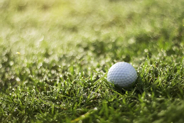 Golfball Ist Auf Einem Grünen Rasen Einem Schönen Golfplatz Mit — Stockfoto