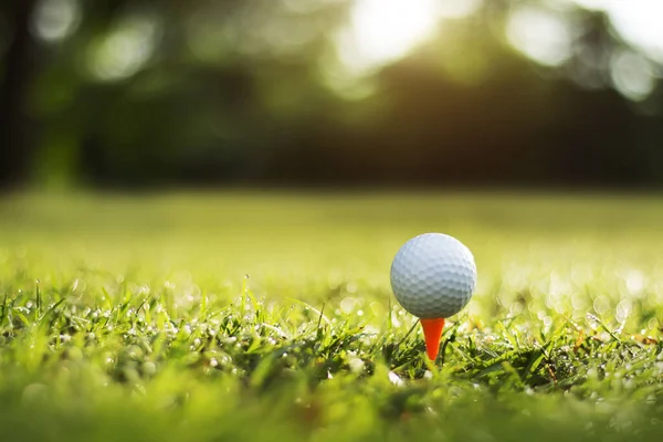 Golf Ball Tee Beautiful Golf Course Morning Sunshine Ready Golf — Stock Photo, Image