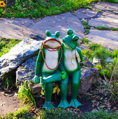 Bir taş üzerinde iki kurbağa.