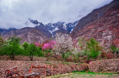 beautiful Landscape of Hunza Valley in Autumn season. Northern Area of Pakistan clipart