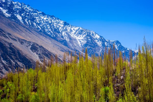 Bezaubernde Landschaft Nordpakistans. Passu Region. Karakorum-Berge in Pakistan — Stockfoto