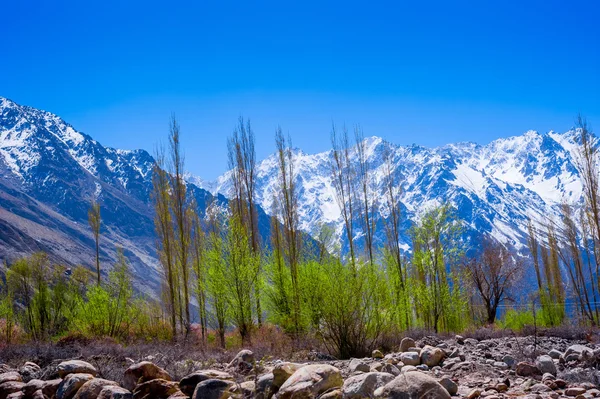 Σε ένα τοπίο του βόρειου Πακιστάν. Passu περιοχή. Καρακόρουμ βουνά στο Πακιστάν — Φωτογραφία Αρχείου