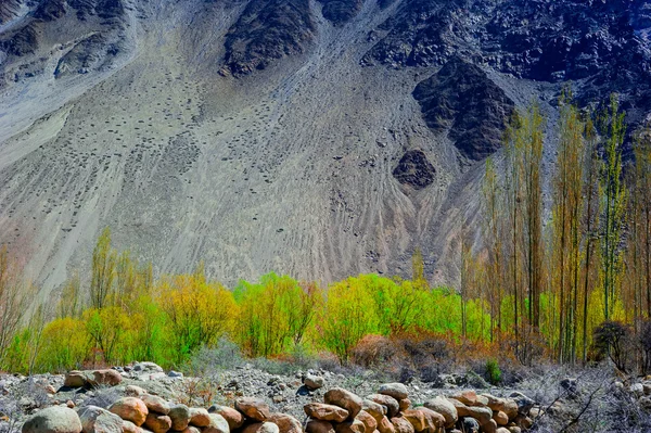 북부 파키스탄의 Beuatiful 풍경입니다. Passu 지역입니다. 파키스탄에서 Karakorum 산 — 스톡 사진