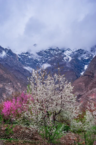 Beau paysage de la vallée de Hunza en saison d'automne. Région nord du Pakistan — Photo