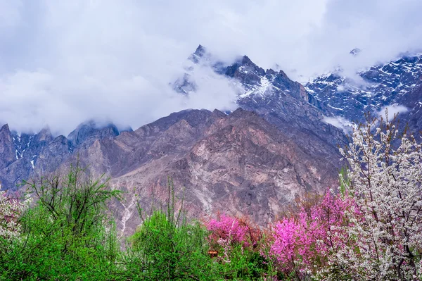 Beau paysage de la vallée de Hunza en saison d'automne. Région nord du Pakistan — Photo