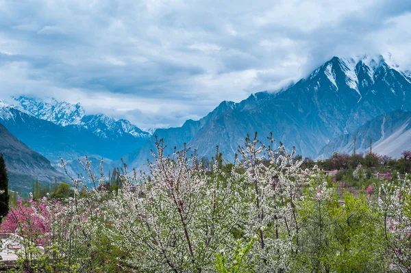 Piękny krajobraz z Hunza dolinie w sezonie jesień. Obszar północny Pakistanu — Zdjęcie stockowe