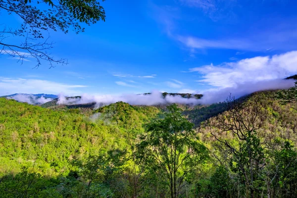 Landscape with fog — Stock Photo, Image