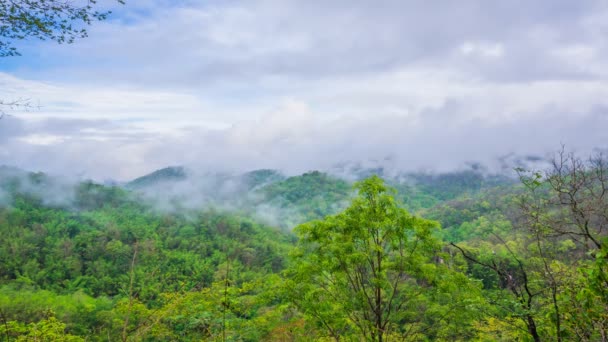 Brouillard matinal dans la montagne — Video