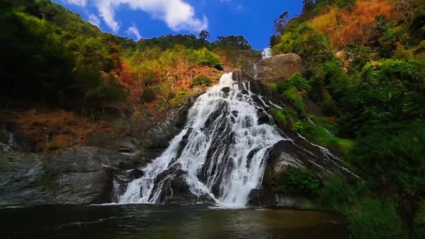 Cachoeira na floresta — Vídeo de Stock