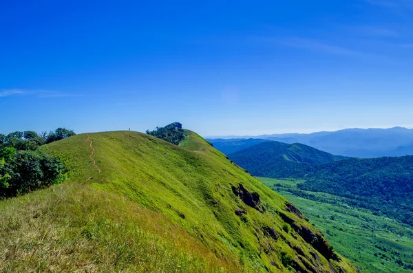 Campo su collina in montagne vicino al villaggio in luce del mattino — Foto Stock