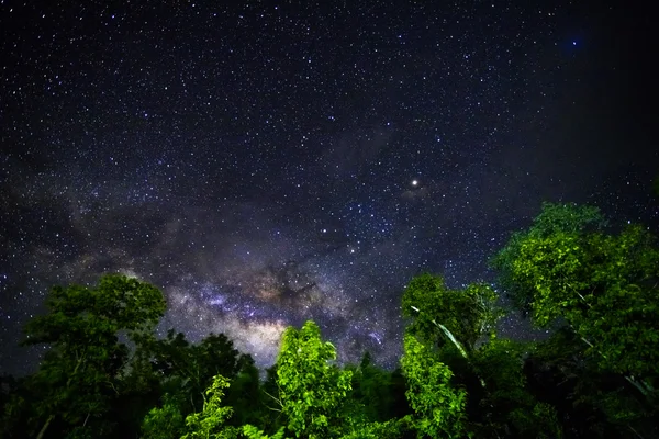 Parte de un cielo nocturno con estrellas y Vía Láctea —  Fotos de Stock