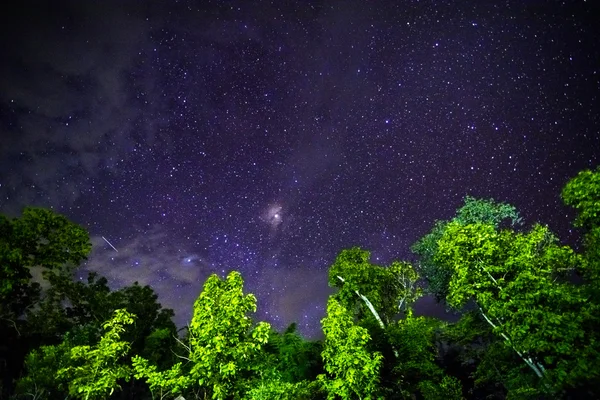 Parte de un cielo nocturno con estrellas y Vía Láctea — Foto de Stock