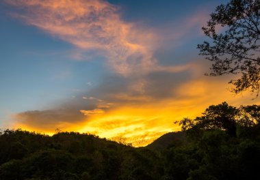 gökyüzü ve ağaçlar üzerinde güneş ışığı ile bulut