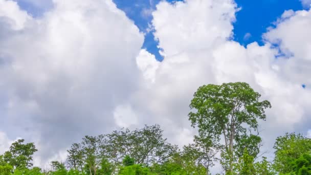 Gökyüzü ve ağaçlar üzerinde bulut — Stok video