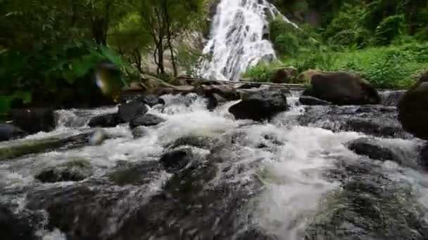 Водопад в лесу — стоковое видео