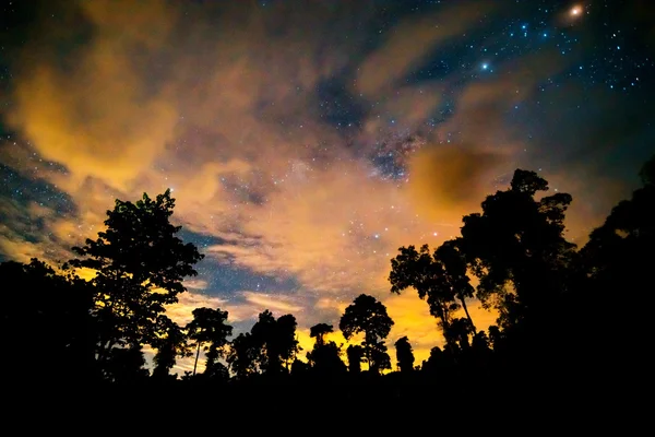 Via Lattea e alcuni alberi — Foto Stock